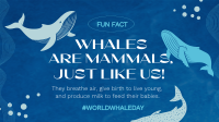 Whale Fun Fact Animation