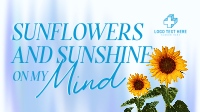 Sunflower Quote Animation