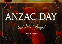 Poppy Flower Anzac Day Postcard Image Preview