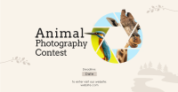 Animals Photography Contest Facebook Ad