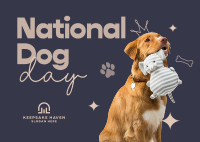 National Dog Day Postcard Image Preview