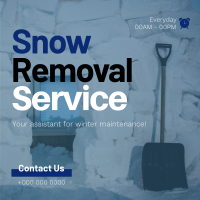 Snow Removal Assistant Linkedin Post Design