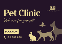 Bright Pet Clinic Postcard