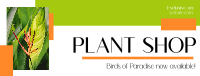 Plant Shop Facebook Cover example 2