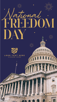 Freedom Day Fireworks Instagram Story