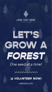 Forest Grow Tree Planting YouTube Short