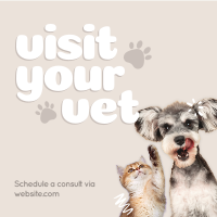 Visit Your Vet Linkedin Post Design