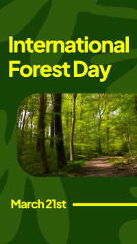 Forest Day Greeting TikTok Video