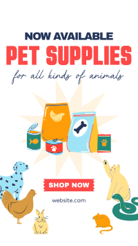 Quirky Pet Supplies Instagram Reel Image Preview