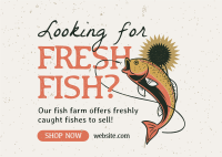 Fresh Fish Farm Postcard