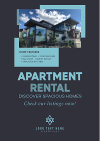 Rental Flyer example 3