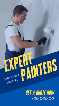 Expert Painters TikTok Video