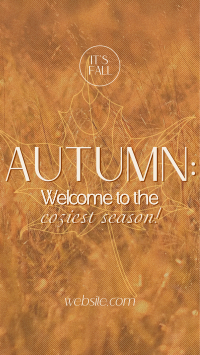 Warm Autumn Greetings Facebook Story