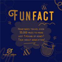 Honey Bees Fact Instagram Post