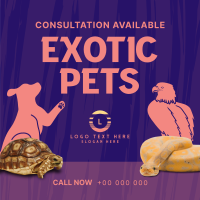 Exotic Vet Consultation Instagram Post