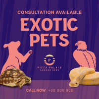 Exotic Vet Consultation Instagram Post Image Preview