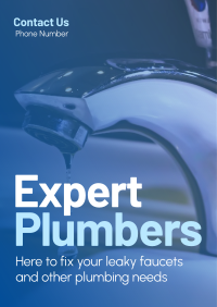 Expert Plumbers Flyer Design