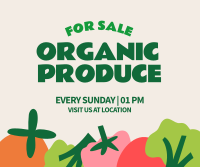 Organic Vegetables Facebook Post