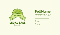 Rustic Green Lime Slice Business Card