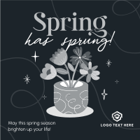 Spring Flower Pot Instagram Post