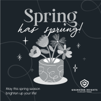 Spring Flower Pot Instagram Post Image Preview