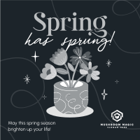 Spring Flower Pot Instagram Post Image Preview