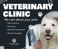 Professional Veterinarian Clinic Facebook Post