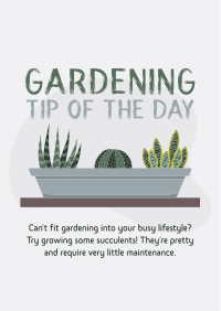 Tip of the Day Flyer