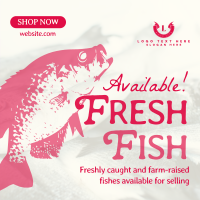Fresh Fishes Available Linkedin Post Design