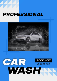 Professional Car Wash Services Poster