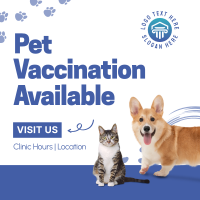 Pet Vaccination Instagram Post