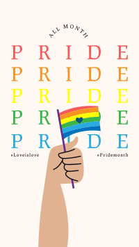 Pride Flag Facebook Story