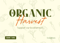 Organic Harvest Postcard