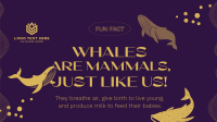 Whale Fun Fact Animation