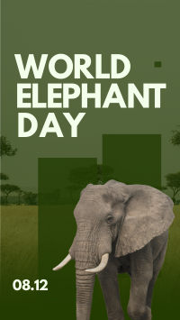 World Elephant Celebration Instagram Story