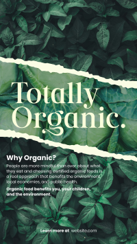 Totally Organic Instagram Story