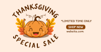 Thanksgiving Squash Facebook Ad