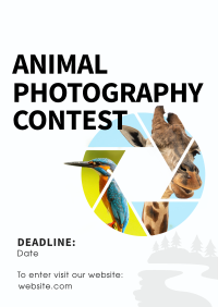 Animals Photography Contest Poster