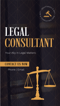 Corporate Legal Consultant TikTok Video Image Preview