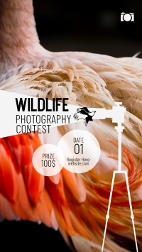 Wildlife Photography Contest Instagram Story