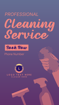 Professional Cleaner TikTok Video