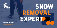 Snow Removal Expert Twitter Post Design