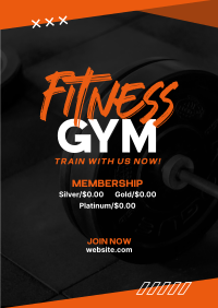 Fitness Gym Poster Image Preview
