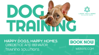 Dog Training Service Animation
