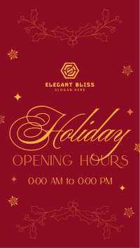 Elegant Holiday Opening Facebook Story Image Preview