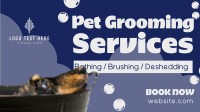 Pet Grooming Service Animation