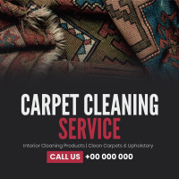 Carpet and Upholstery Maintenance Linkedin Post