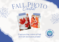 Fall Photo Contest Postcard