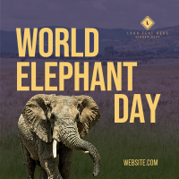 World Elephant Day Linkedin Post