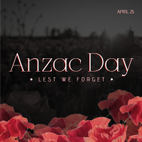 Anzac Poppies Instagram Post Design